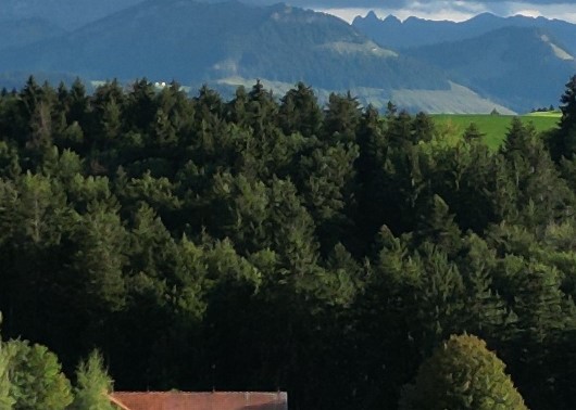 oben rechts